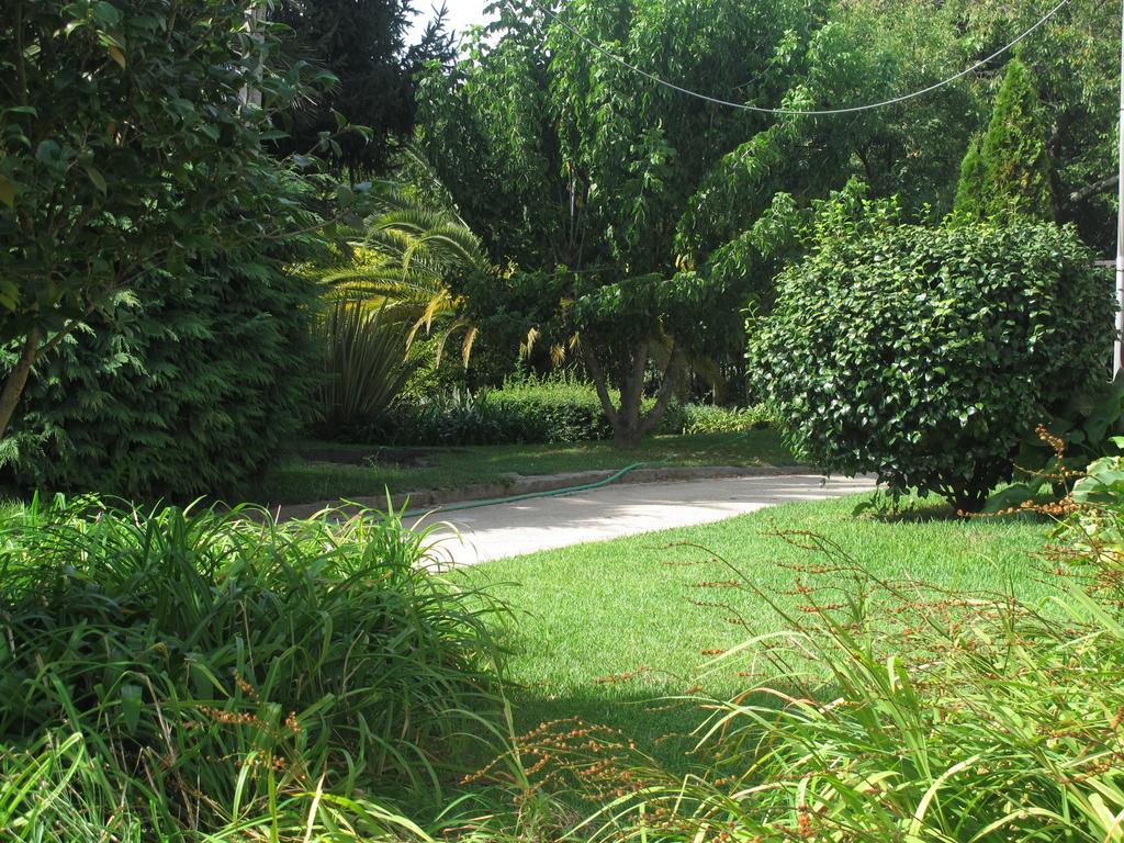 No Meio Da Natureza - Turismo No Espaco Rural Farm stay