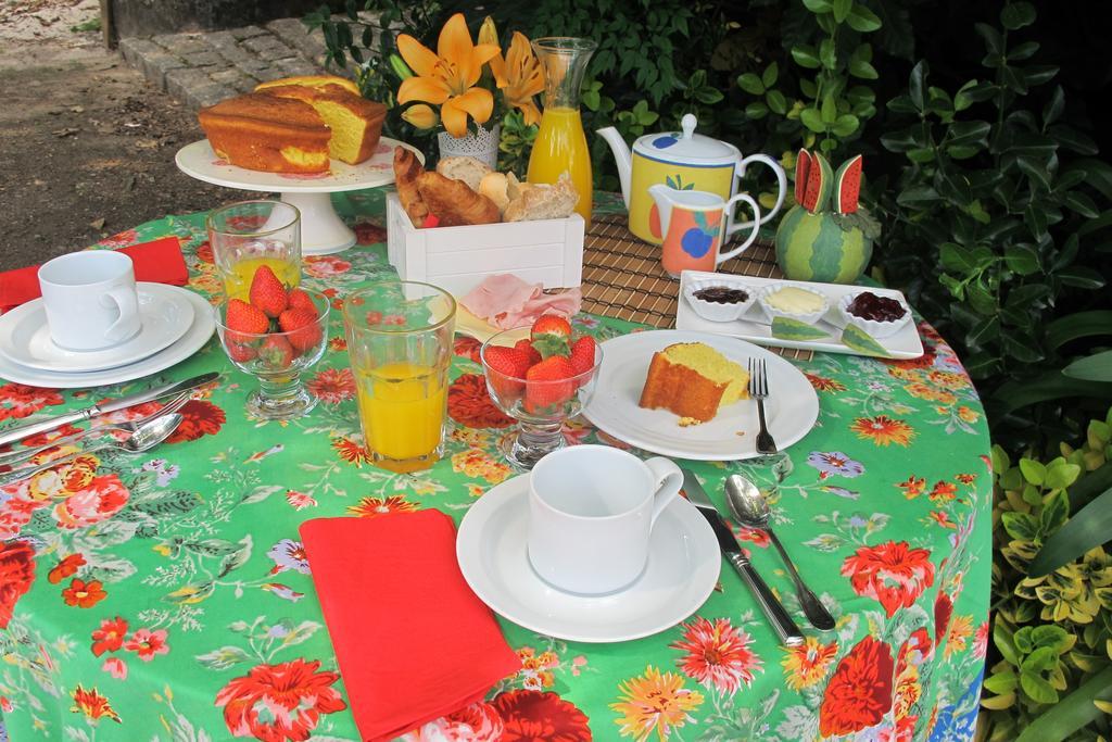 Farm stay No Meio Da Natureza - Turismo No Espaco Rural Vila Nova de Famalicao