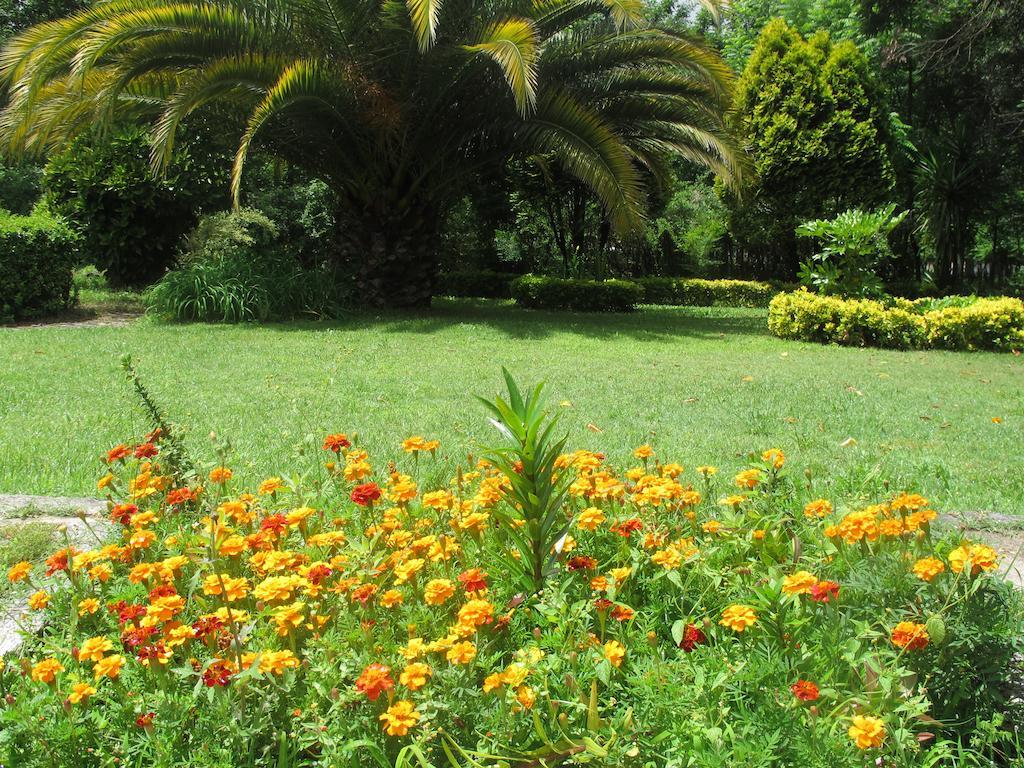 Farm stay No Meio Da Natureza - Turismo No Espaco Rural *