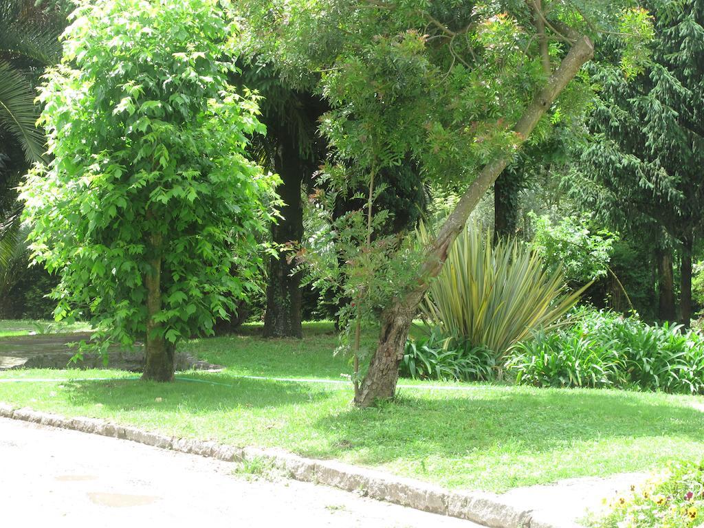Farm stay No Meio Da Natureza - Turismo No Espaco Rural