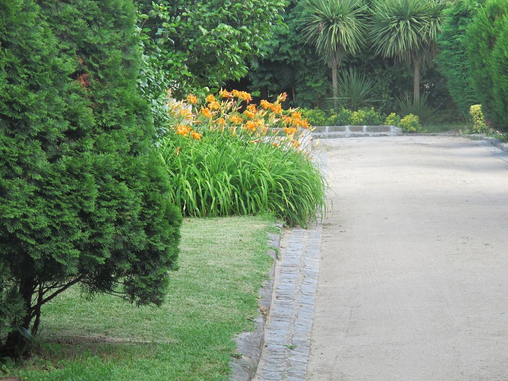 Farm stay No Meio Da Natureza - Turismo No Espaco Rural *