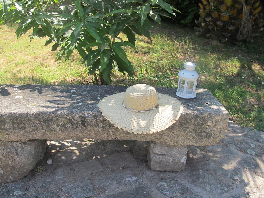Farm stay No Meio Da Natureza - Turismo No Espaco Rural