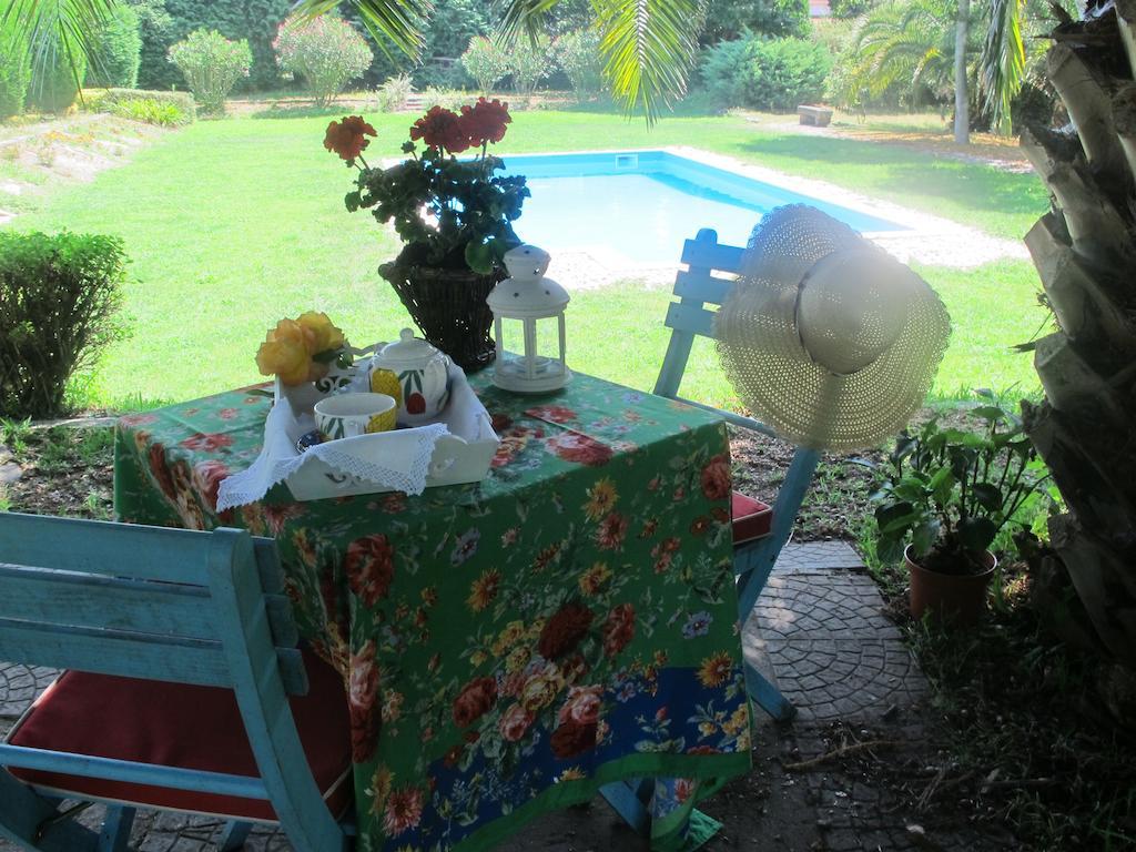 Farm stay No Meio Da Natureza - Turismo No Espaco Rural *